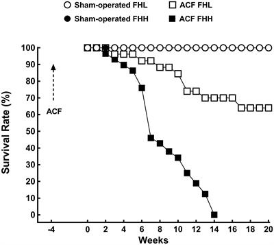 Pharmacological Blockade of Soluble Epoxide Hydrolase Attenuates the Progression of Congestive Heart Failure Combined With Chronic Kidney Disease: Insights From Studies With Fawn-Hooded Hypertensive Rats